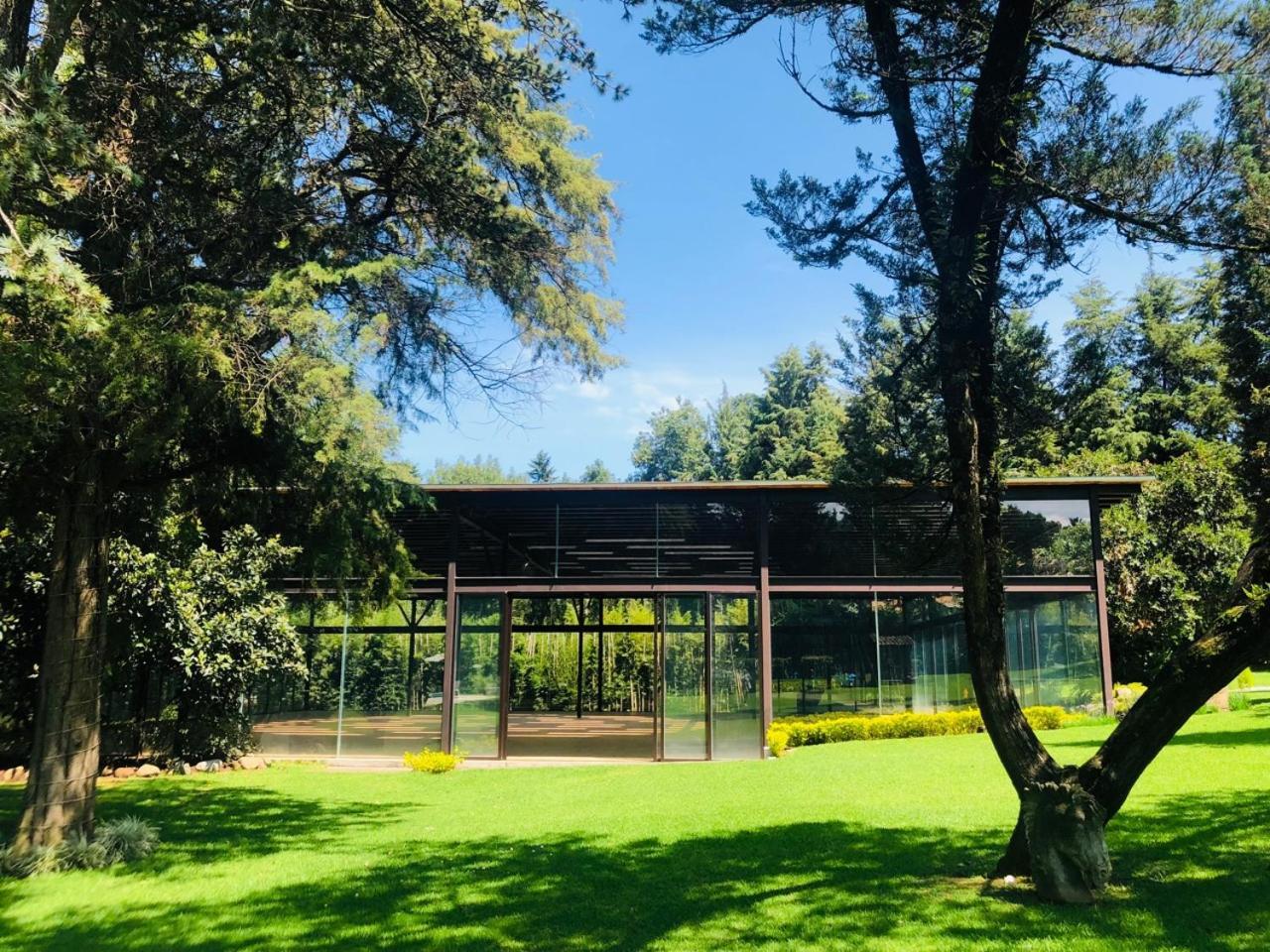 Hotel Boutique Unico Avandaro 巴耶德布拉沃 外观 照片